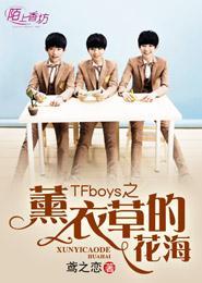 TFboys之熏衣草的花海