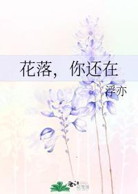 花落,你还在