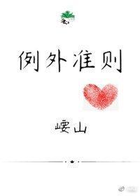 例外准则