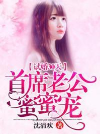 试婚30天:首席老公蜜蜜宠