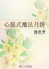 心愿式魔法月饼