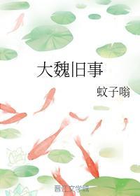 大魏旧事