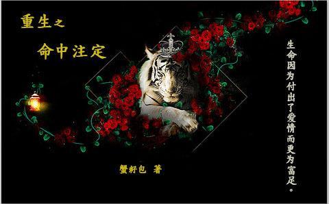 HP重生之命中註定