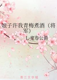 娘子许我青梅煮酒（将军）
