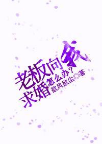 老板向我求婚,怎么办?