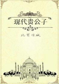 现代贵公子