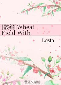 [骸纲]Wheat Field With Crows