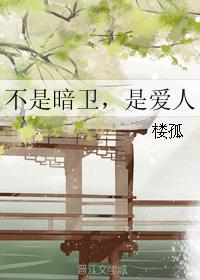 不是暗卫,是爱人