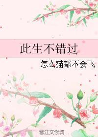 此生不错过
