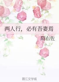 两人行，必有吾妻焉