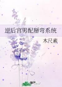 逆后宫男配掰弯系统