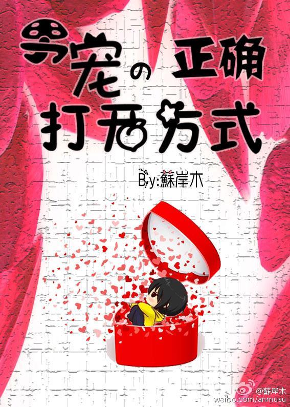 男宠的正确打开方式