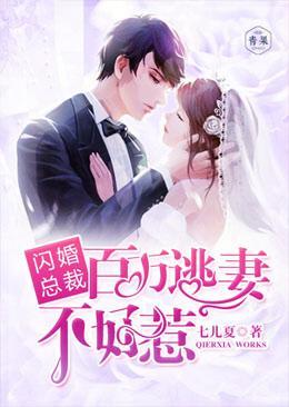 闪婚总裁:百万逃妻不好惹
