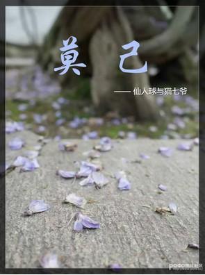 莫己