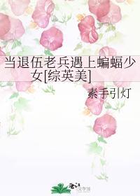 当退伍老兵遇上蝙蝠少女[综英美]