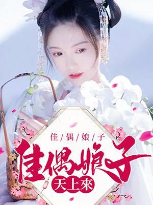 佳偶娘子天上来