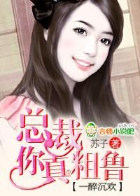 一醉沈欢总裁你真粗鲁