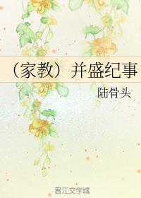 (家教)并盛纪事