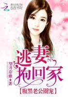 腹黑老公圈宠:逃妻抱回家