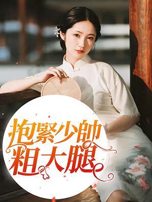 抱紧少帅粗大腿