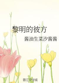 黎明的彼方