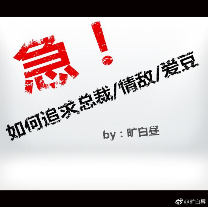 急！如何追求总裁