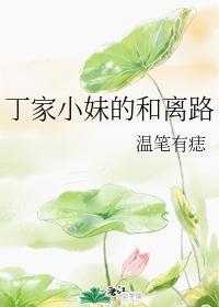 丁家小妹的和离路
