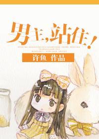 男主,站住!