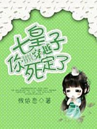 BH穿越:七皇子,你死定了!