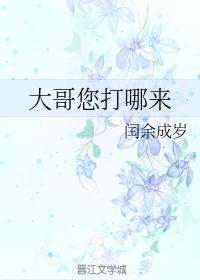 大哥您打哪来