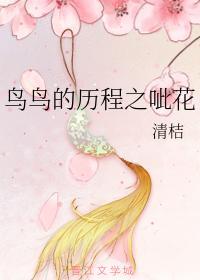 鸟鸟的历程之呲花
