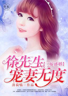 二嫁盛婚:徐先生宠妻无度