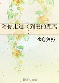 陪你走过(到爱的距离)