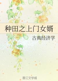 种田之上门女婿
