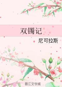 双镯记