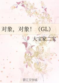 对象,对象!(GL)