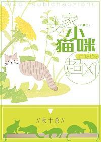 我家小猫咪超凶！[穿书]