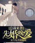 首席来袭:先婚晚爱