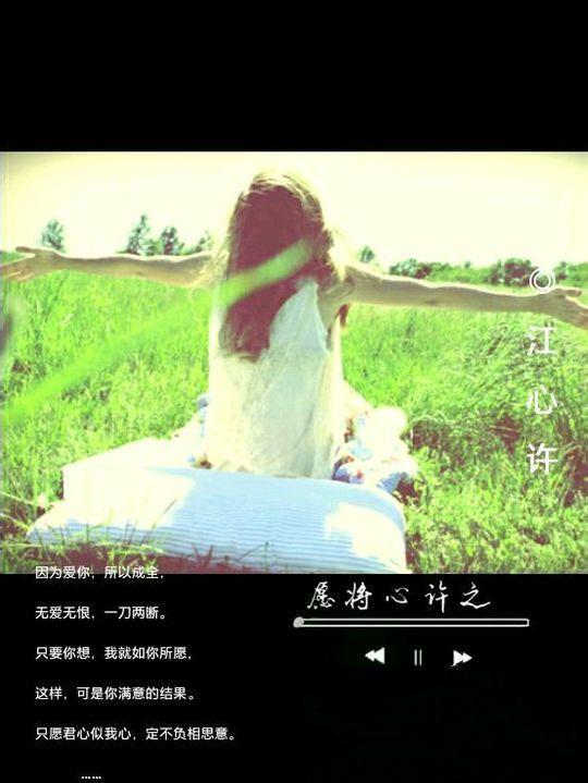 愿将心许之