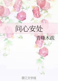 问心安处