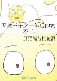 网球王子之十年后的冢不二
