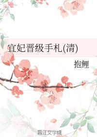 宜妃晋级手札(清)