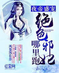夜帝盛宠:绝色邪妃哪里跑