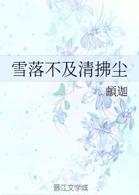 雪落不及清拂尘