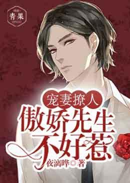 宠妻撩人：傲娇先生不好惹