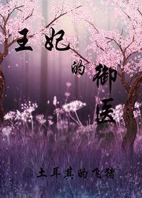 王妃的御医