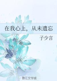 在我心上,从未遗忘