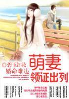 婚命难违:萌妻,领证出列