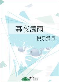 暮夜潇雨