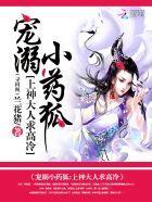 宠溺小药狐:上神大人求高冷